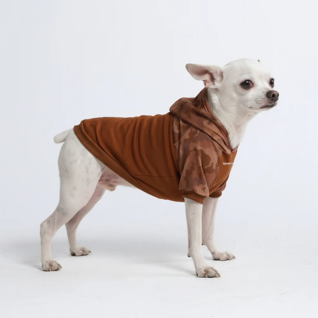 Desert Camo Dog Hoodie