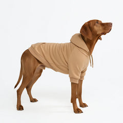 Essential Dog Hoodie - Caramel