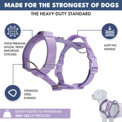Comfort Control No-Pull Dog Harness Set - Lilac