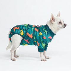 Dog Surgical Suit