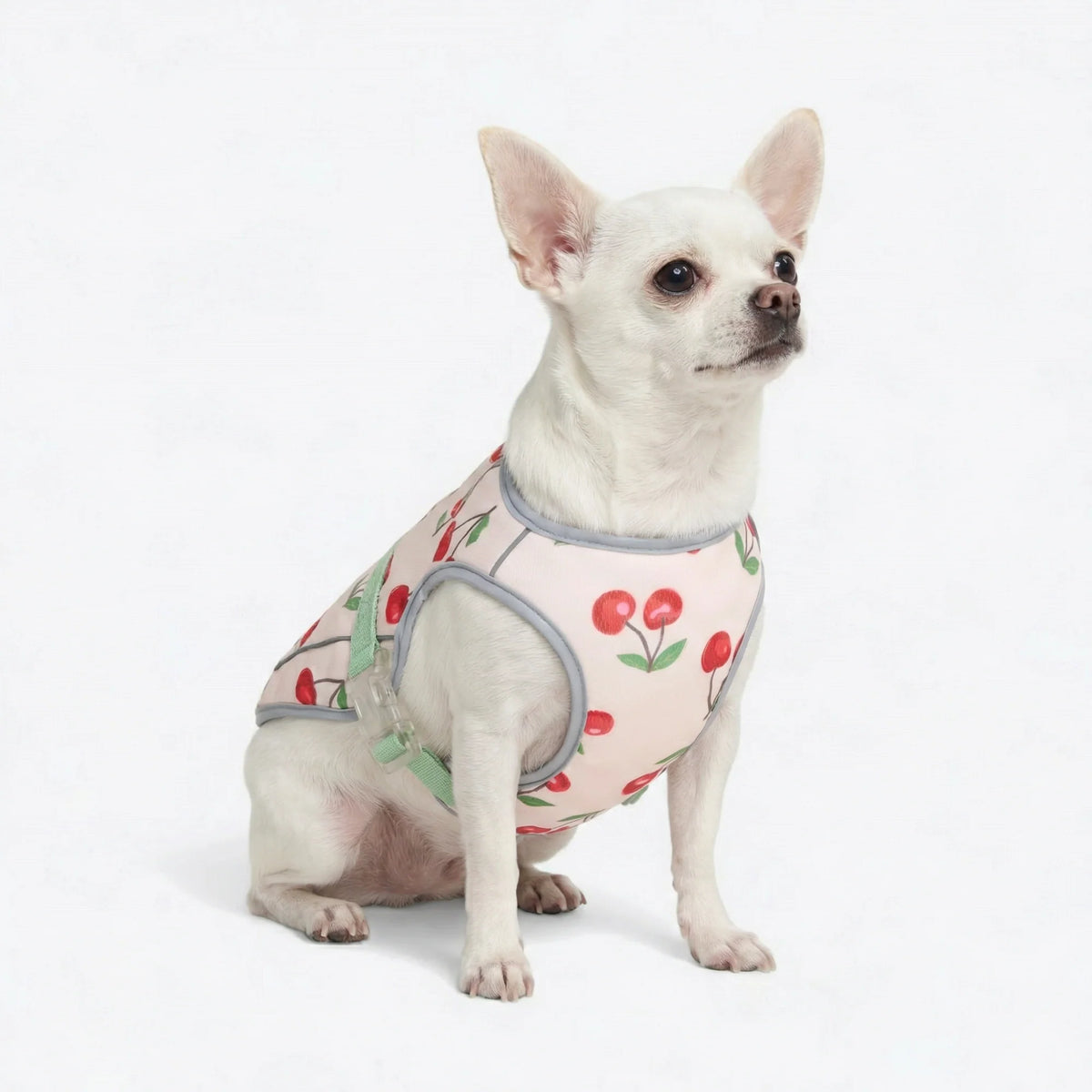 Dog Cooling Vest - Cherries