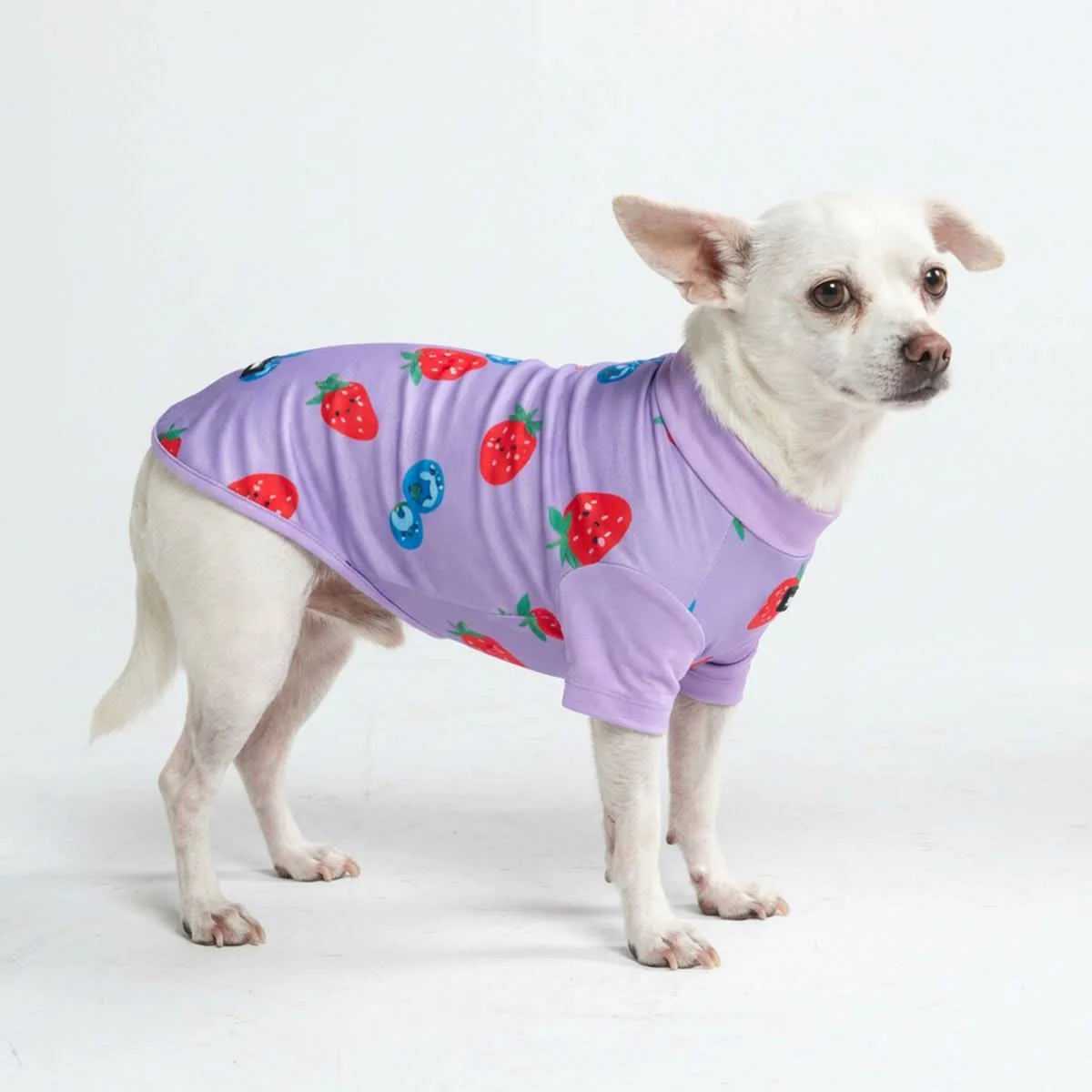 Sunblock Dog T-Shirt - Berries