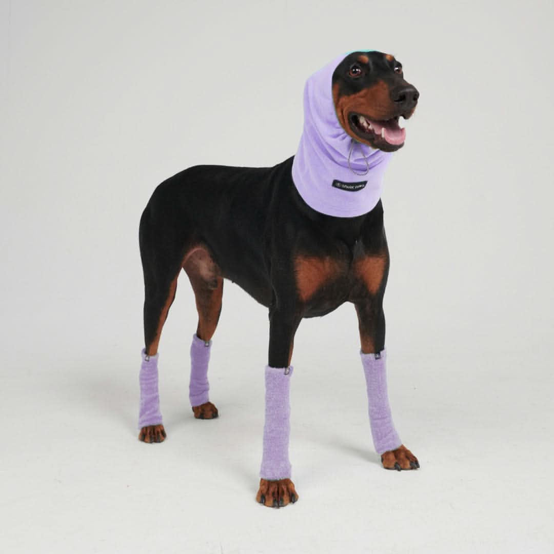 Leg Warmer and Earmuff Protector Set - Purple