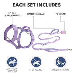 Comfort Control No-Pull Dog Harness and Multipurpose Leash Set - Purple