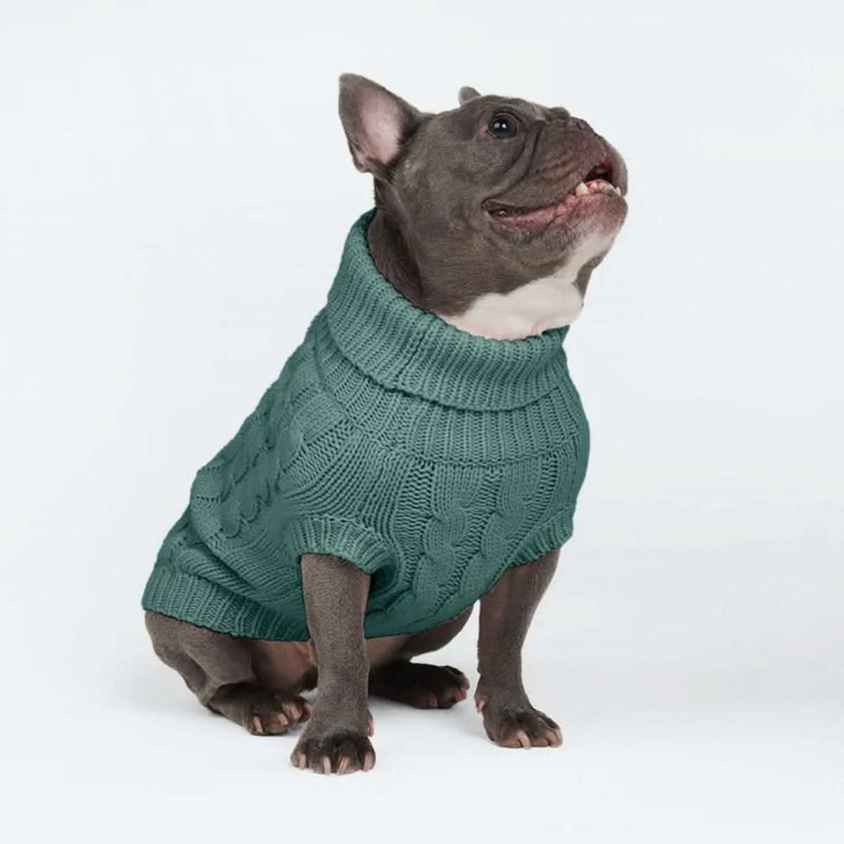 Cable Knit Dog Sweaters