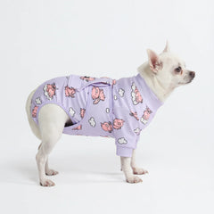 Dog Surgical Suit - When Pigs Fly