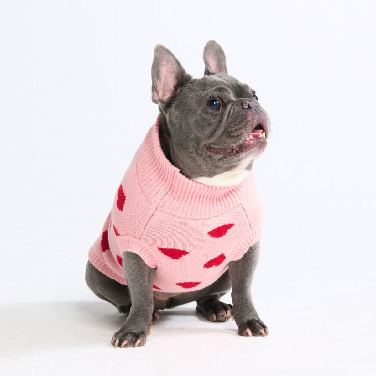 Hearts Knit Dog Sweater