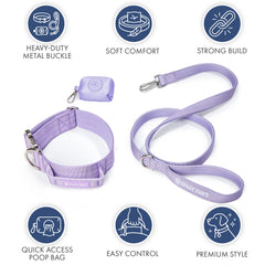 Comfort Control Collar Set - Lilac