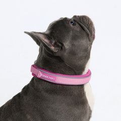 Cushioned Martingale Collar - Pink
