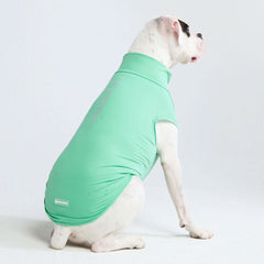 Sunblock Dog T-Shirt - Mint