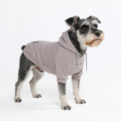 Essential Dog Hoodie - Clay