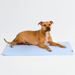 Frostcore™ Cooling Mat - Waffle Blue
