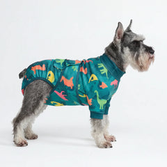 Dog Surgical Suit
