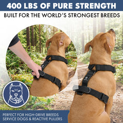 Comfort Control No-Pull Dog Harness - Black