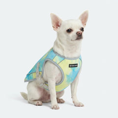 Dog Cooling Vest - Tropical Storm