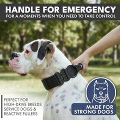 Comfort Control Collar Set - Black