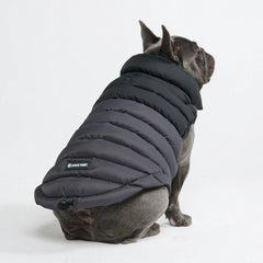 PuffShield Winter Jacket - Black