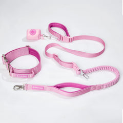 Comfort Control Collar and Multipurpose Leash Set - Pink