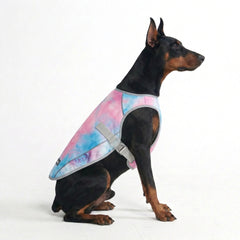 Dog Cooling Vest - Snow Cone