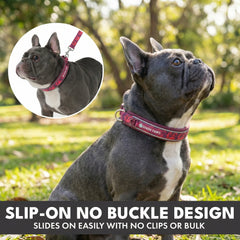 Martingale Collar Set - Fuchsia Camo