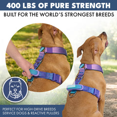 Comfort Control No-Pull Dog Harnesses
