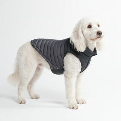 PuffShield Winter Jacket - Black
