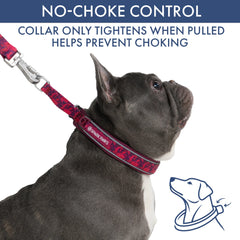 Martingale Collar and Multipurpose Leash Set - Fuchsia Camo