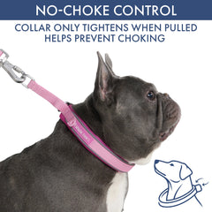 Martingale Collar Set - Pink