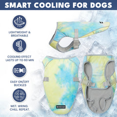Dog Cooling Vest (2-pack) - Snow Cone & Tropical Storm