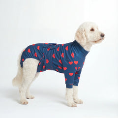 Dog Surgical Suit - Hearts