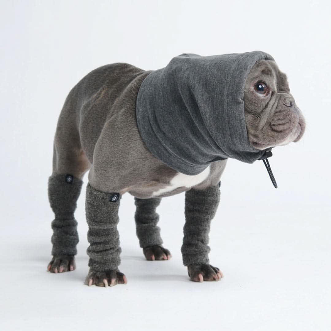 Leg Warmer and Earmuff Protector Set - Grey