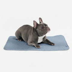 Frostcore™ Cooling Mat - Ash Blue
